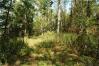2 Steeles Creek Lot 2 Northern Acreage - Mike Parker Real Estate