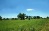 5 Hwy 42 Northern Acreage - Mike Parker Real Estate