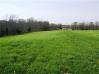 7565 Ky Highway 16 HWY Northern Lots & Land - Mike Parker Real Estate
